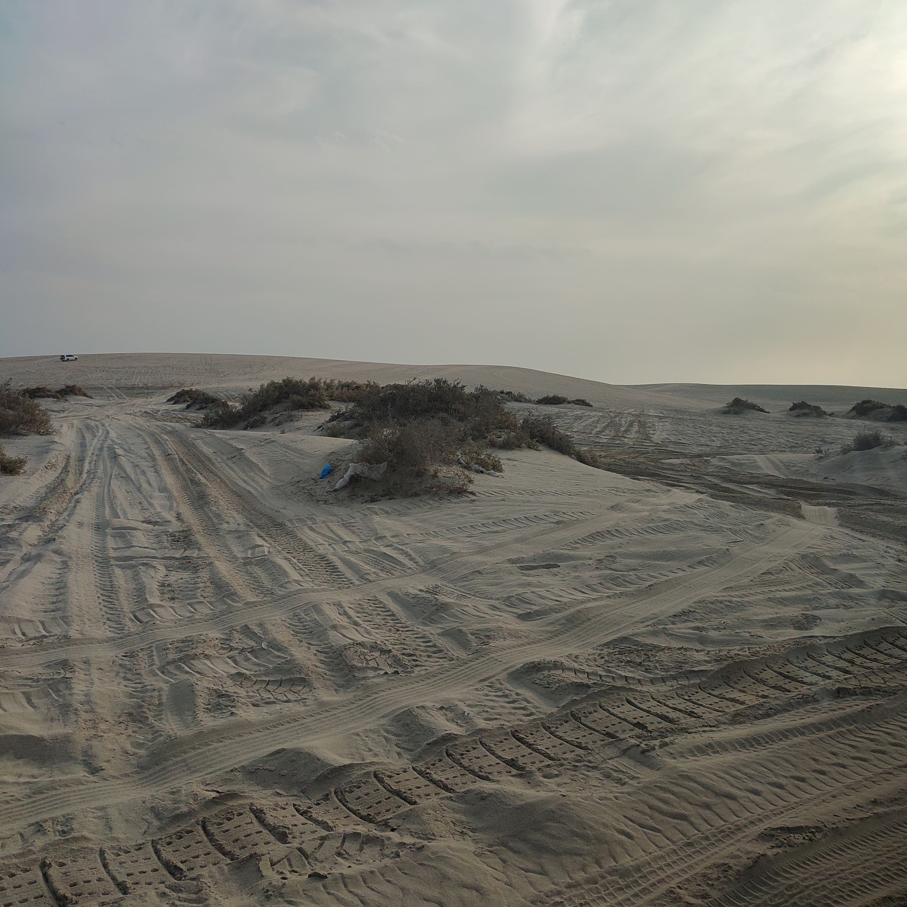 Imagining myself riding a horse here (delulu max)